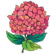 coloring pages icon